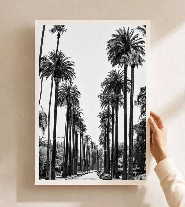 California Palm Tree Art Print highlighting an open LA street surrounded by distinctive rows of tall palm trees