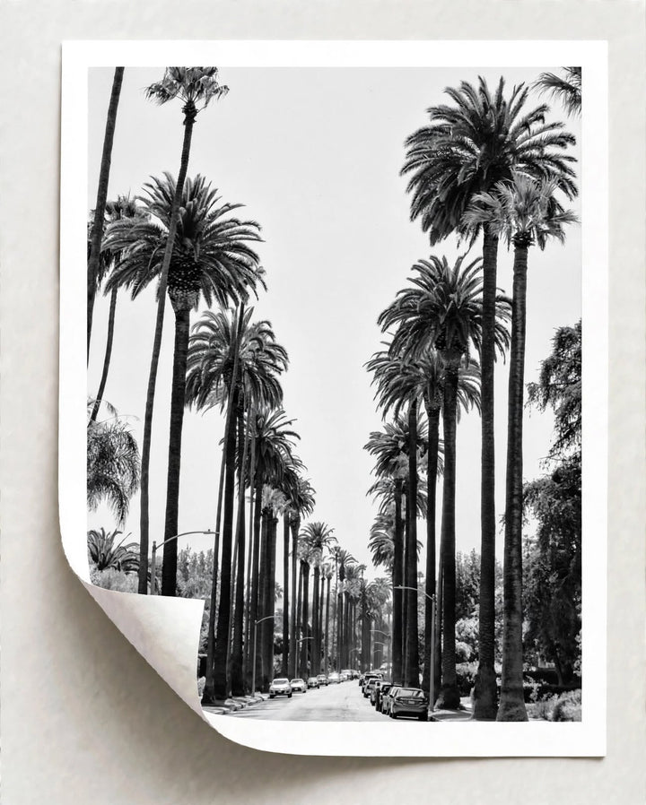 California Palm Tree Art Print styled as black and white West Coast wall decor for a contemporary room