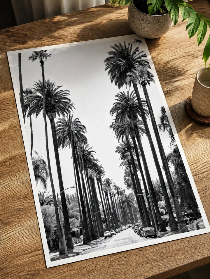 California Palm Tree Art Print presented as monochrome travel photography for a California inspired gallery wall