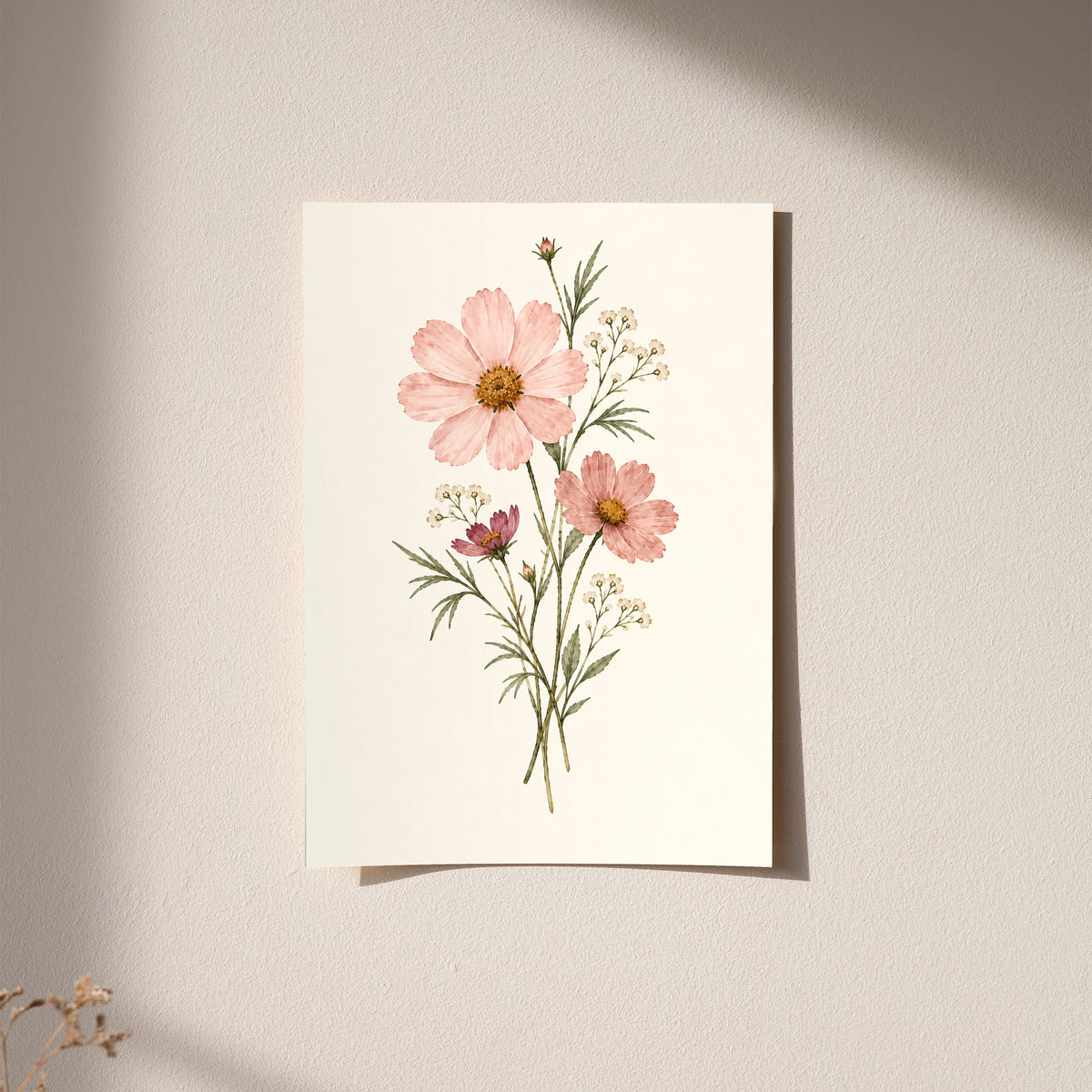 Pink cosmos flowers with yellow centres and fine white botanical sprigs as an unframed hanging paper print against a plaster wall
