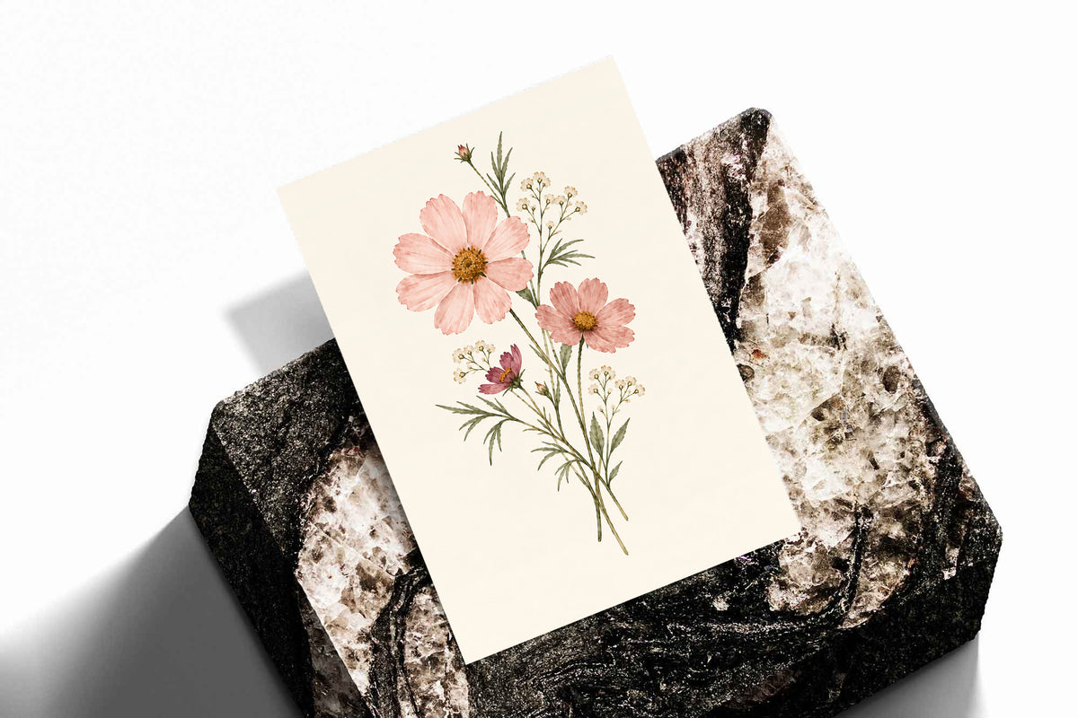 Pink cosmos flowers with yellow centres and fine white botanical sprigs as an unframed print standing on a stone plinth against white
