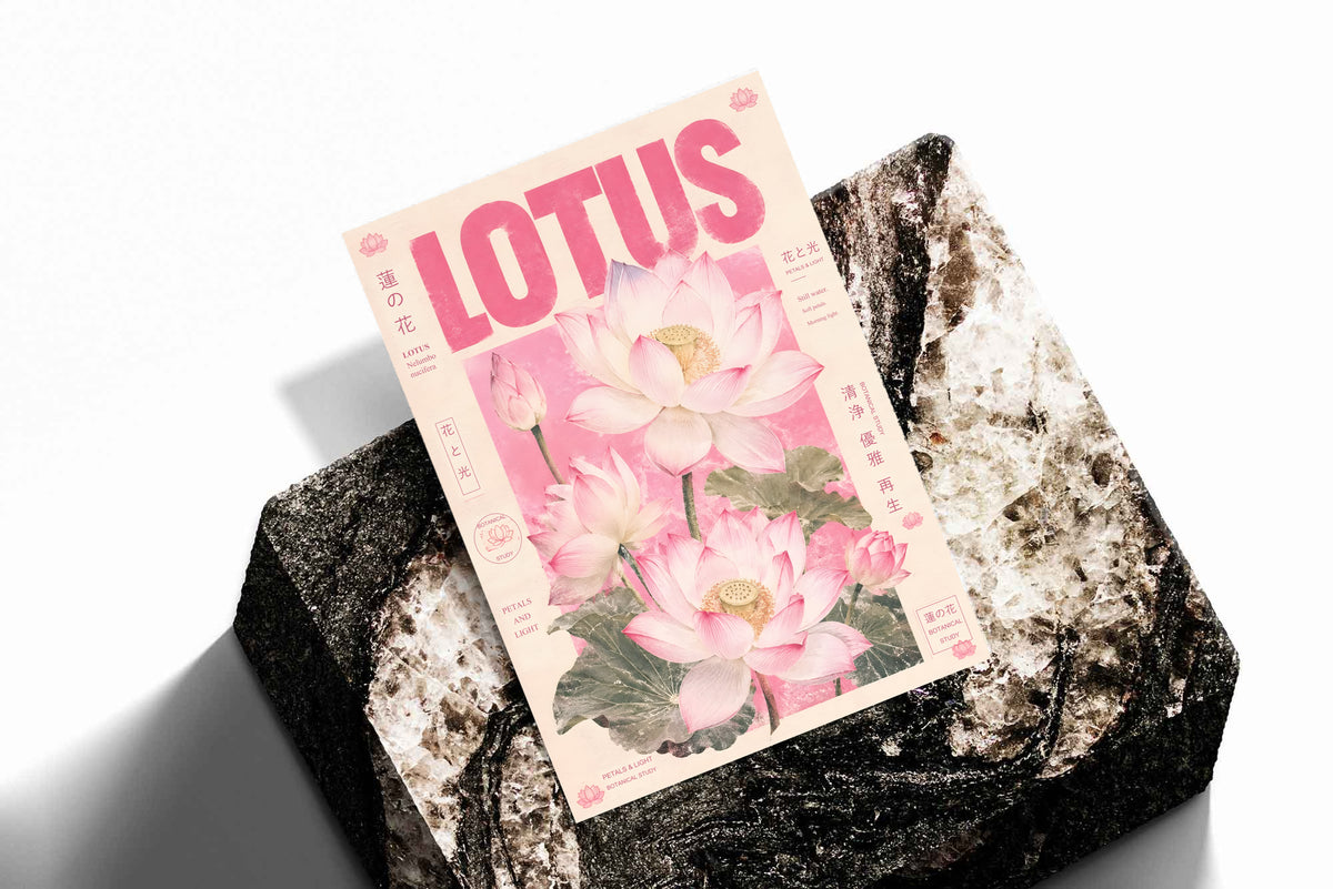 Pink lotus botanical poster with LOTUS title, lotus flowers and leaves on a dark stone base