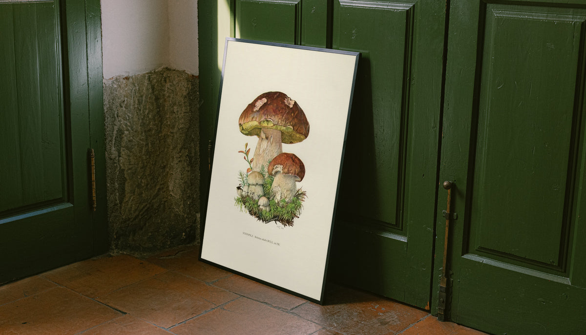 Brown porcini mushrooms with moss and a printed Steinpilz Boletus edulis caption as an unframed print leaning against a green panelled door