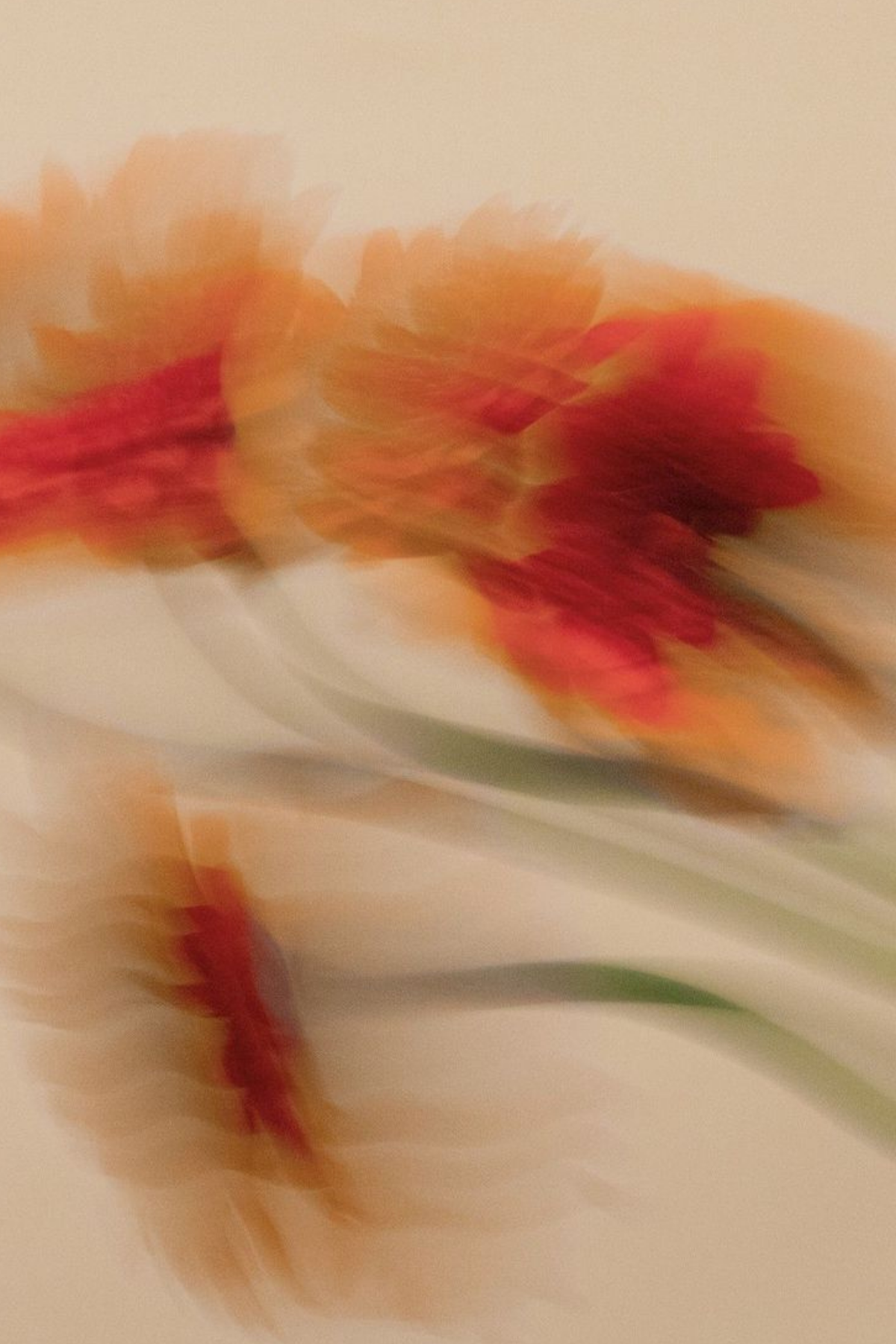 Blush in Motion - Lámina floral rosa