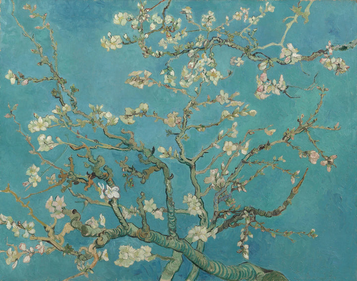 Van Gogh Almendro en flor - Lámina botánica