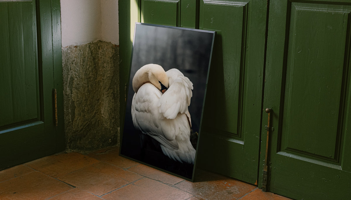 Framed sleeping swans photo print with dark frame displayed beside green doors