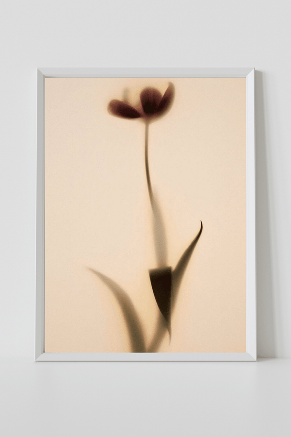 Still Bloom - Joffzart