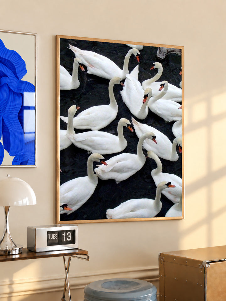 Framed wall art print with white swans on dark water background