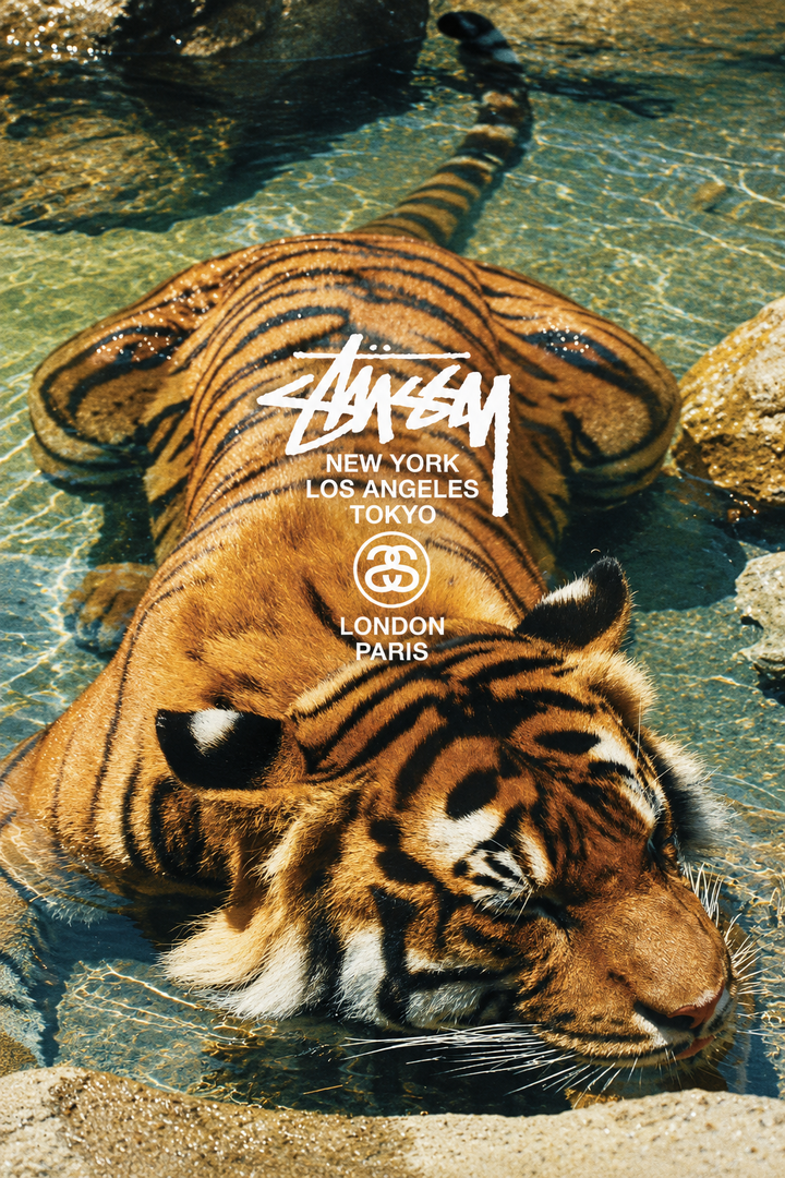 Photographic orange-and-black tiger swimming through bright turquoise water, overlaid with visible white Stüssy and city lettering.