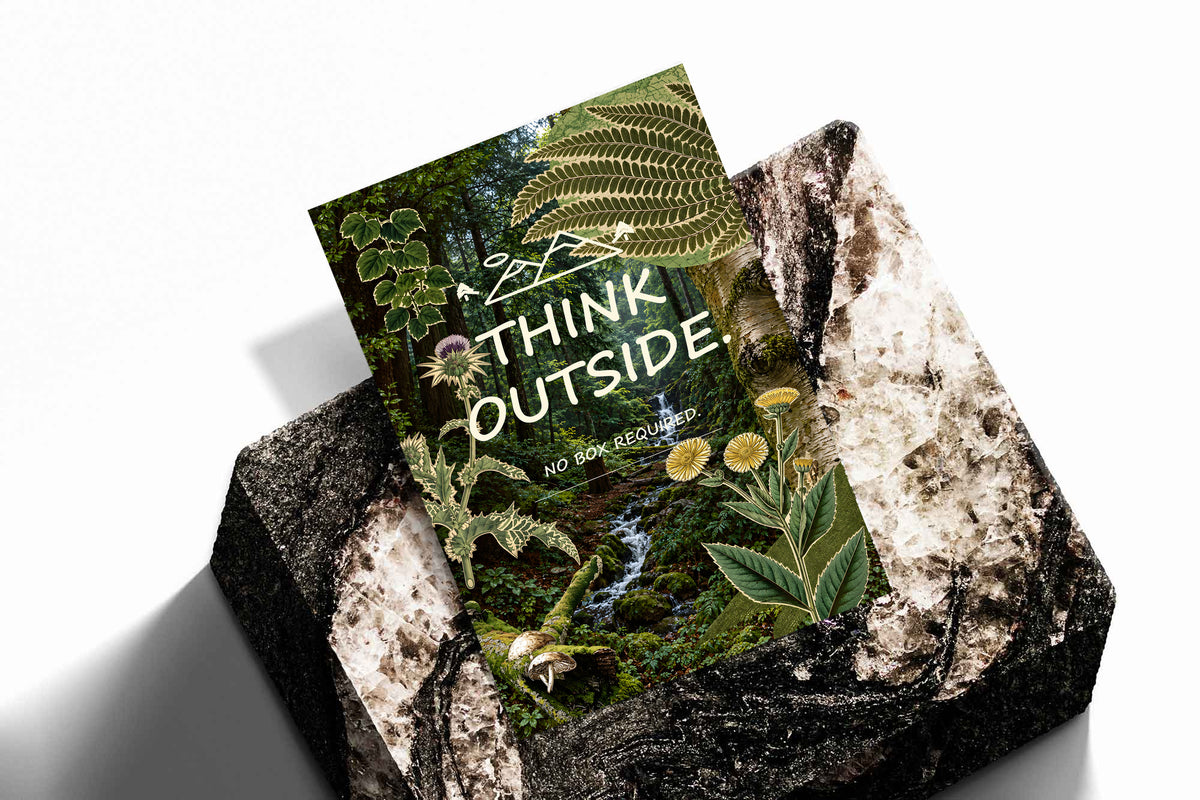 Botanical poster with ferns, wildflowers and forest stream artwork, shown at an angle.