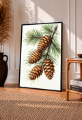 Three brown pine cones on a branch with long green needles against white in a black frame leaning on a sunlit wooden floor beside books and a rattan seat