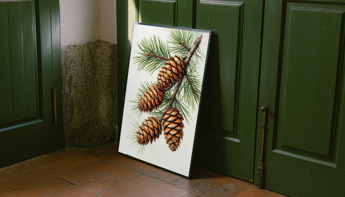 Three brown pine cones on a branch with long green needles against white as an unframed print leaning against a green panelled door