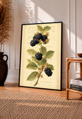 Dark blackberry clusters and serrated green leaves on a branch with notes on aged cream in a black frame leaning on a sunlit wooden floor beside books and a rattan seat