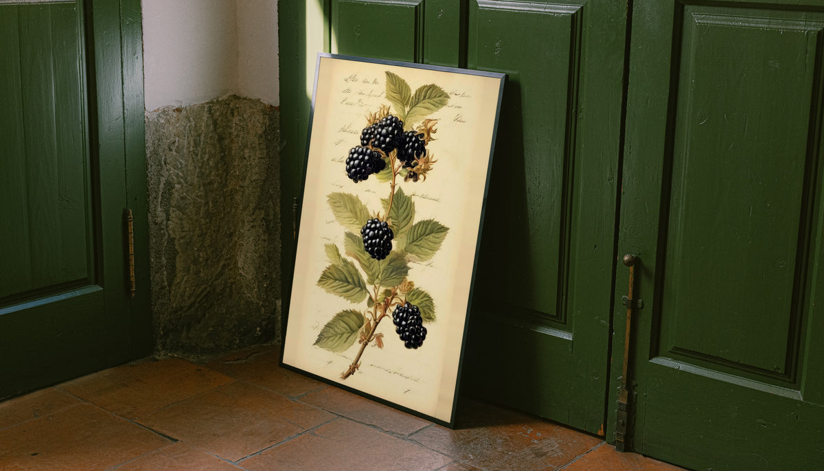 Dark blackberry clusters and serrated green leaves on a branch with notes on aged cream as an unframed print leaning against a green panelled door