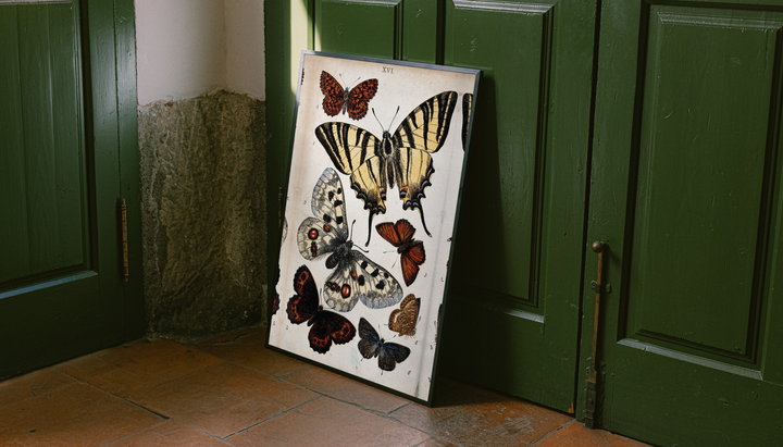 Vintage Butterfly Specimen Poster shown as a canvas leaning beside green panels on a wooden floor.
