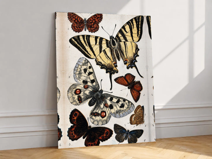 Canvas artwork depicting large yellow-and-black butterfly with smaller specimens, leaning against a white wall in angled sunlight.