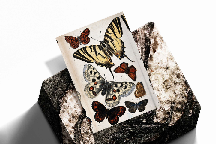 Unframed artwork depicting large yellow-and-black butterfly with smaller specimens, presented diagonally on rough stone.