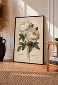 Two white peony blooms and a small bud with green leaves on aged cream in a black frame leaning on a sunlit wooden floor beside books and a rattan seat