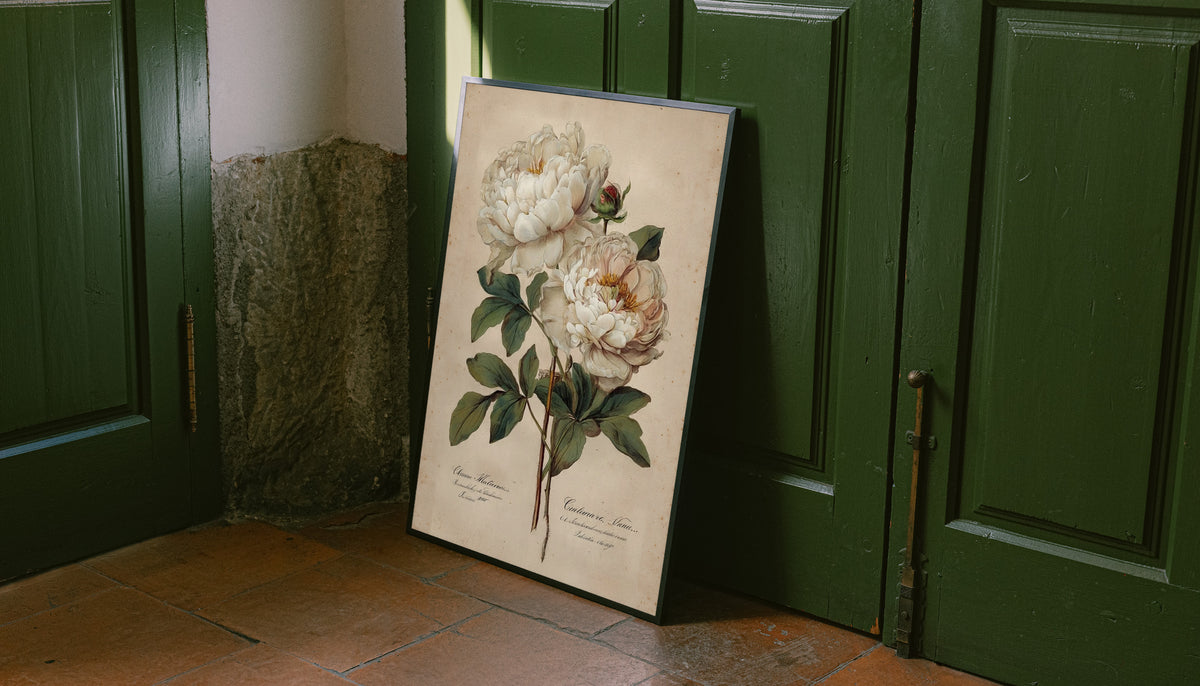 Two white peony blooms and a small bud with green leaves on aged cream as an unframed print leaning against a green panelled door